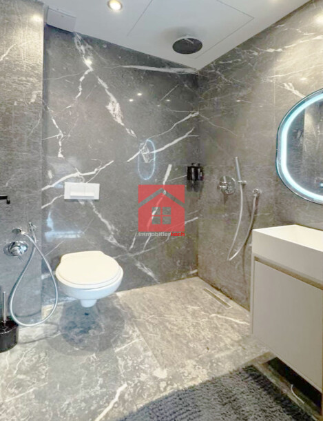 Duplex neuf avec terrasse à Louer-4